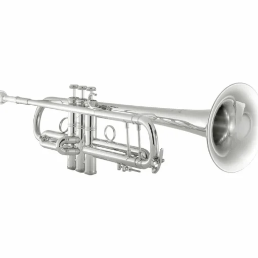 Bach 190 Stradivarius 65 Bell Dual Bore Series Professional Bb Trumpet Silver plated Gold Brass Bell