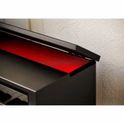 Casio Celviano AP-550BK Console Digital Piano Black