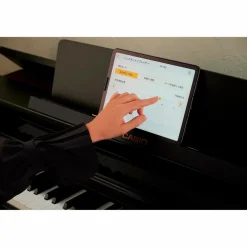 Casio Celviano AP-750BK Console Digital Piano Black