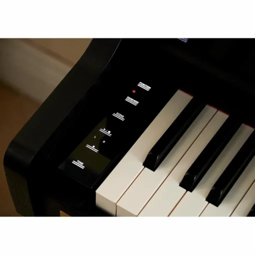 Casio Celviano AP-750BK Console Digital Piano Black