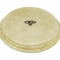 CP Bongo Head 7 in