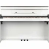 Dexibell VIVO H5 Home Digital Piano Matte White