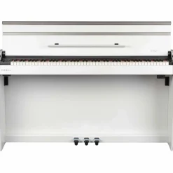 Dexibell VIVO H5 Home Digital Piano Matte White