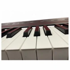 Used Alesis Recital Digital Piano